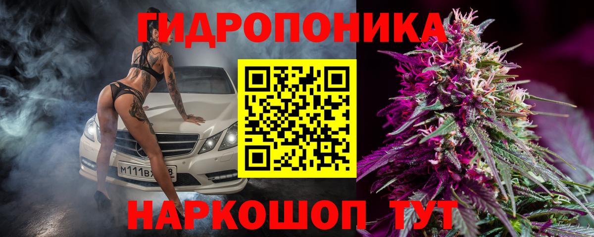 Конопля Amnesia  Бошки Шишки планчик  Мценск  Бошки марихуана план  Вход с VPN 
